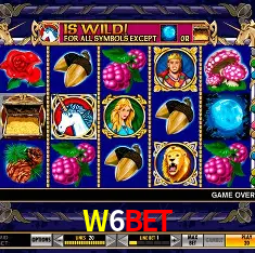 A Emoção da Loteria na W6BET: Uma Chance de Mudança de Vida
